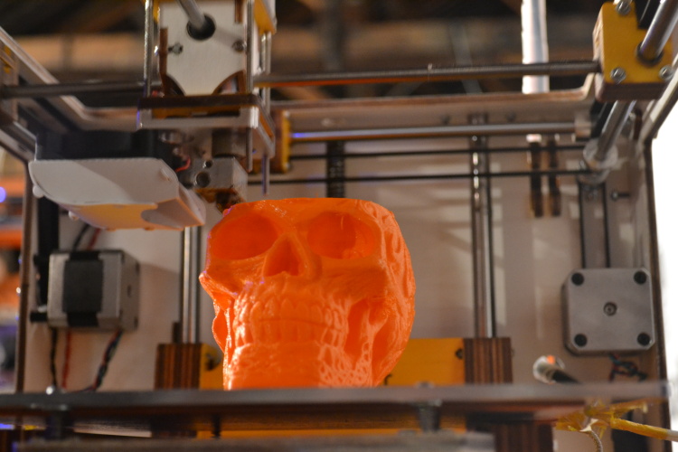 3d Printed Skull