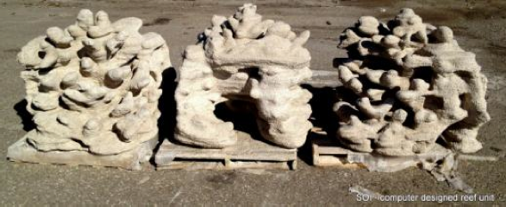 3D Geprint rif in Australie