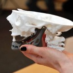 3D-geprinte-onderkaak
