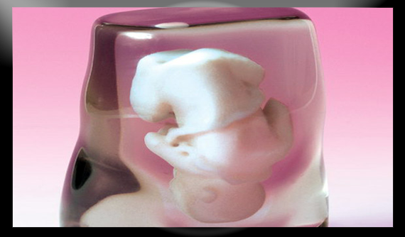 3D scan en print van je embryo