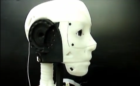 InMoov robot