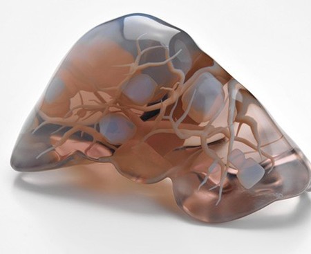 3D geprinte lever